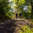Arboretum Burgholz Zwei Personen laufen durch den Wald Two people walking through the forestTwee mensen lopen door het bos