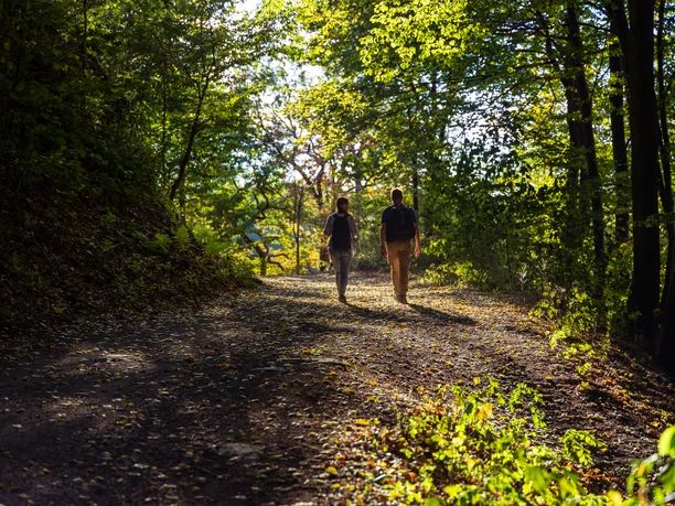 Arboretum Burgholz Zwei Personen laufen durch den Wald