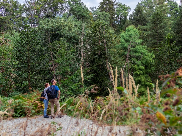Arboretum Burgholz Zwei Personen auf einem Weg im Wald