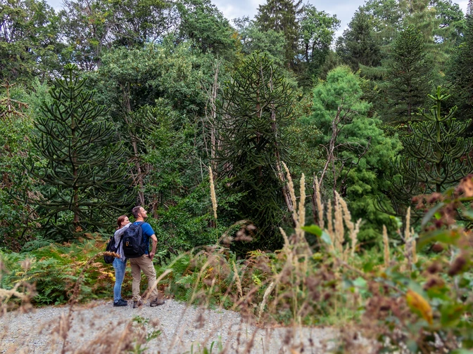 Arboretum Burgholz Zwei Personen auf einem Weg im Wald Two people on a path in the forestTwee mensen op een pad in het bos