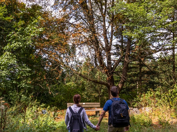Arboretum Burgholz Zwei Personen spazieren durch den Wald