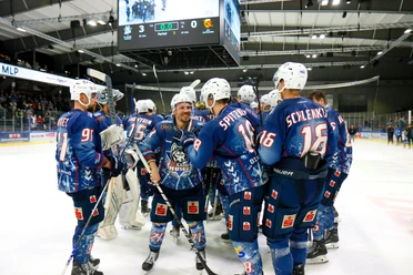 Kassel Huskies