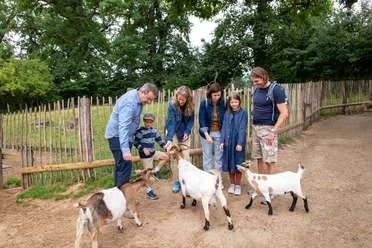 Im Streichelgehege Tierpark Sababurg