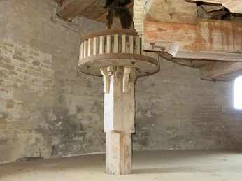 Nybøl-Mølle-stort-stjernehjul-og-skallekværnshjul