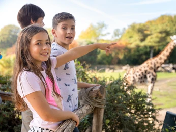 Kinder bei der Kiwara-Savanne im Zoo Leipzig - Familienurlaub in Leipzig Kinder schauen sich im Zoo Leipzig die Giraffen an, Freizeitaktivität, Tiere, Familie