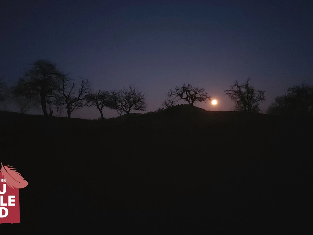 Beginn der astronomischen Dämmerung bei Witzenhausen (c)Claudia Krabbes