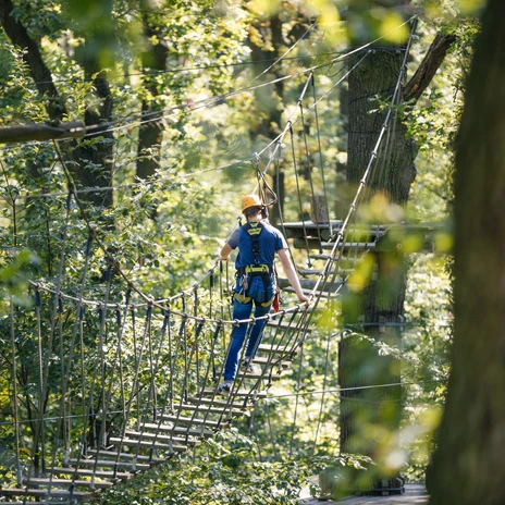 Mężczyzna pokonuje trasę wśród koron drzew w lipskim parku linowym nad jeziorem Albrechtshain, przygoda, czas wolny, rodzinna wycieczka