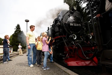 Harzer Schmalspurbahnen, HTV M. Gloger