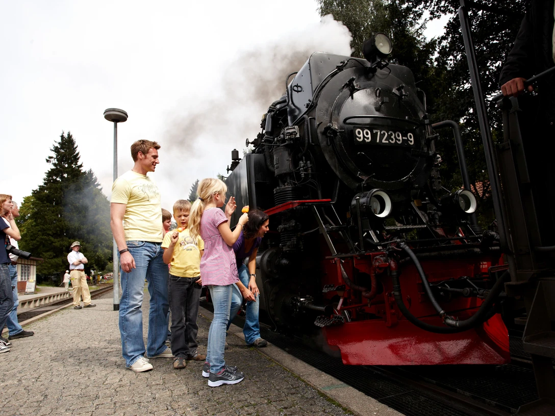 Harzer Schmalspurbahnen, HTV M. Gloger