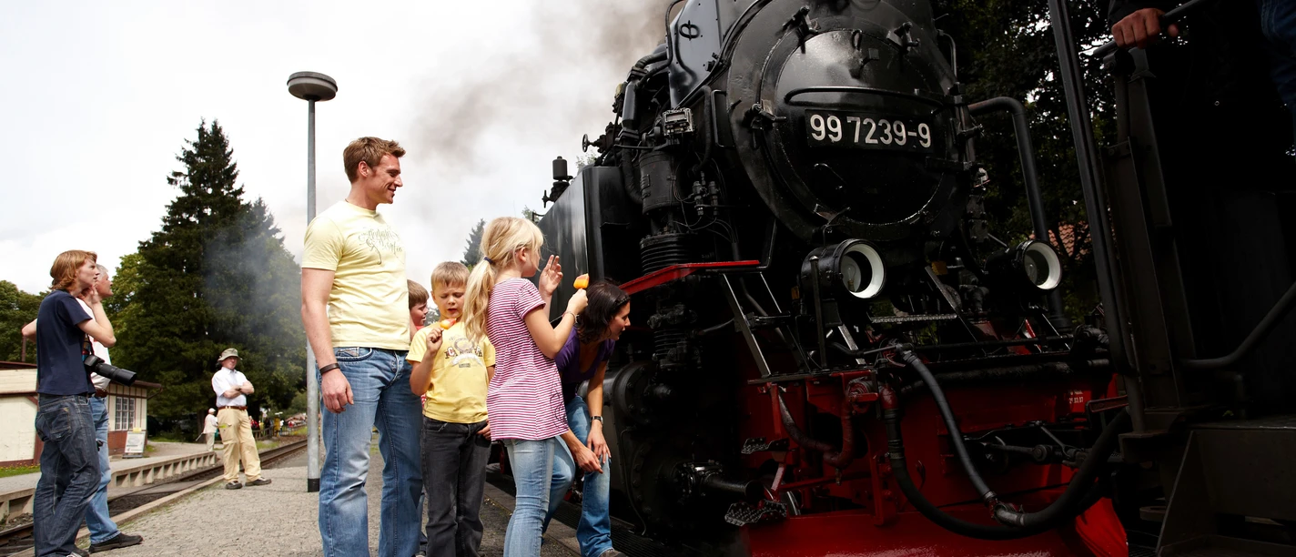 Harzer Schmalspurbahnen, HTV M. Gloger