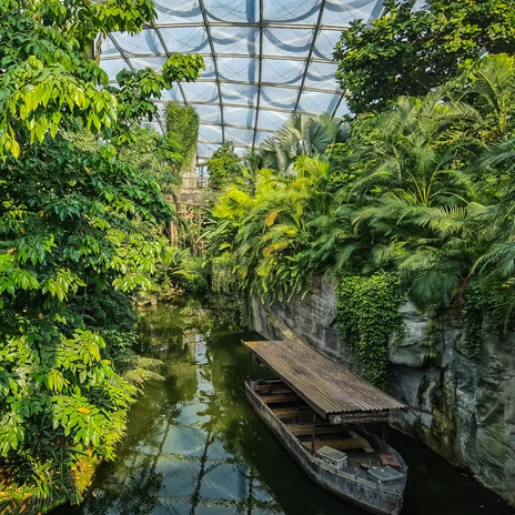 View of the jungle and the river in the "Gondwanaland" tropical hall at Leipzig Zoo, leisure, nature, animals, family outing