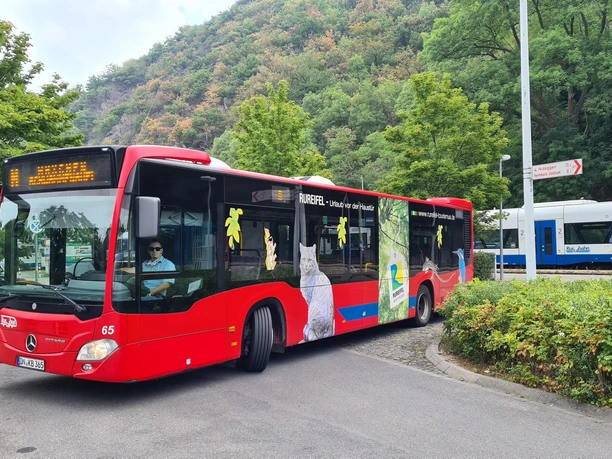 Der Rurtalbus Der Rurtalbus