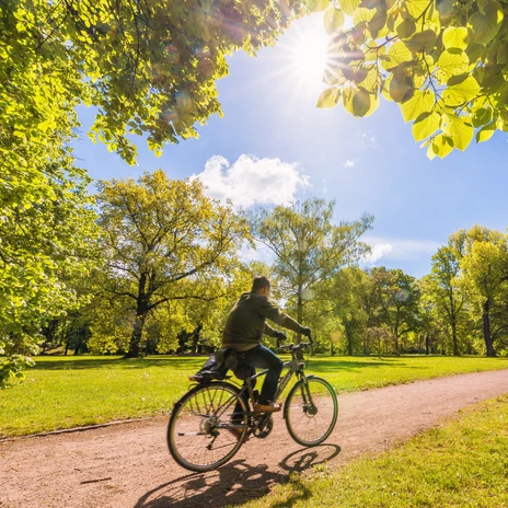 View of a cyclist riding through the Friedenspark in Leipzig on a sunny day, Sport, Leisure, Nature