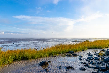 Bensersiel Naturstrand