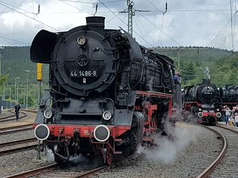Viaduktfest_2019_Marion_Wessels.jpg Dampflokomotiven auf Gleisen, umgeben von Menschen bei einer Veranstaltung im Freien.