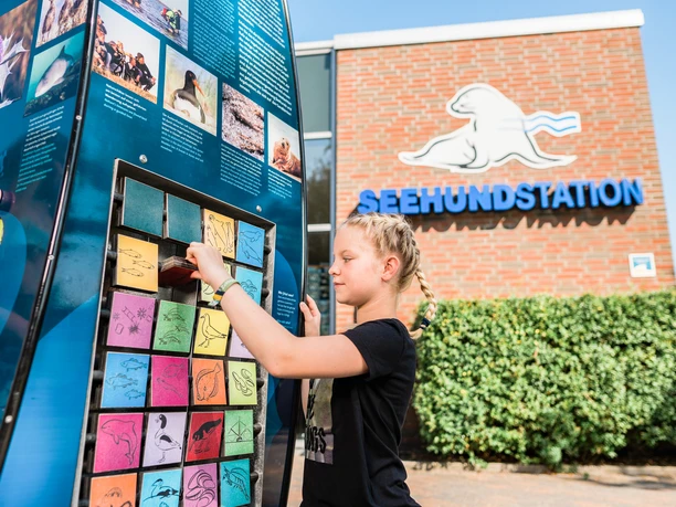 Norddeich_2019_Final (7 von 29)_bearb_VDS.jpg