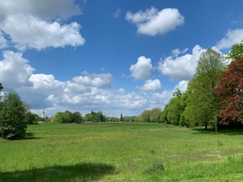 Blick auf die Dammaschwiesen im Sommer