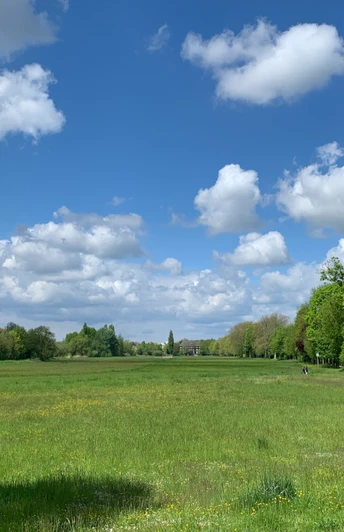 Blick auf die Dammaschwiesen im Sommer