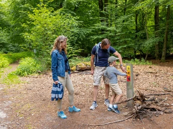 Wanderwege im Urwald Sababurg Naturpark Reinhardswald