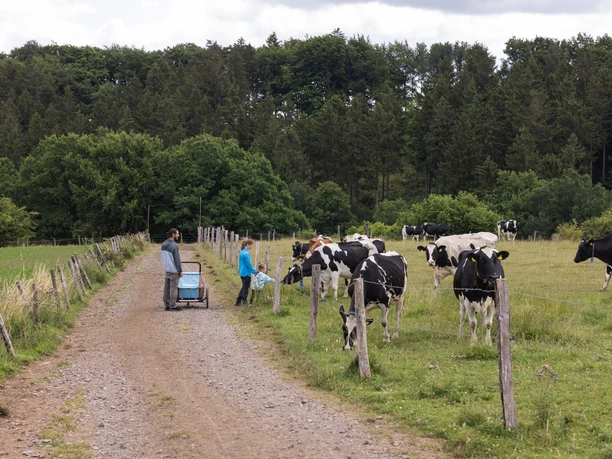 Milchweg Kall