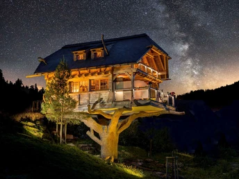 Wellnesshotel Tanne Baumhaus-Sauna