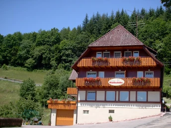Außenansicht im Sommer Landhaus Waldeshöhe