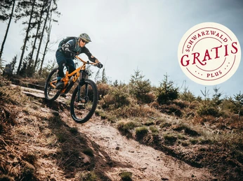 Trails in stimmungsvoller Herbstlandschaft