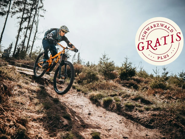 Trails in stimmungsvoller Herbstlandschaft