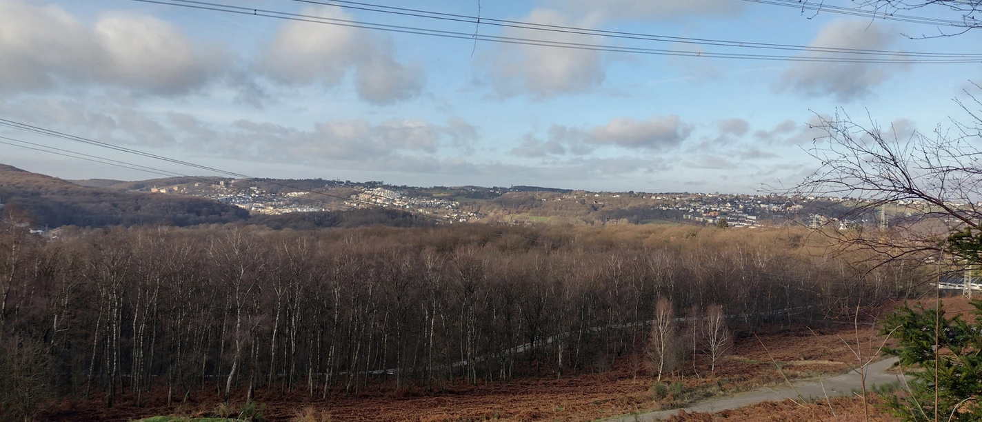 Aussicht im Kleff.jpg