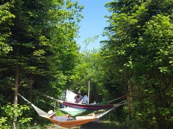 Mehrere Hängematten sind zwischen Bäumen auf einem bewaldeten Zeltplatz aufgehängt, während Personen entspannen.