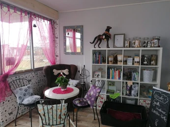 Hundecafé Busenwurth