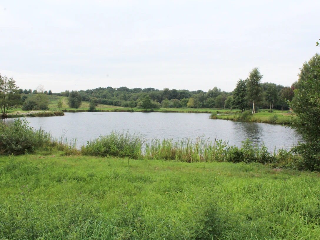Landschaftssee Uchte Ein ruhiger See umgeben von Wiesen und Bäumen, das Ufer gesäumt von Schilf und grasigen Flächen.