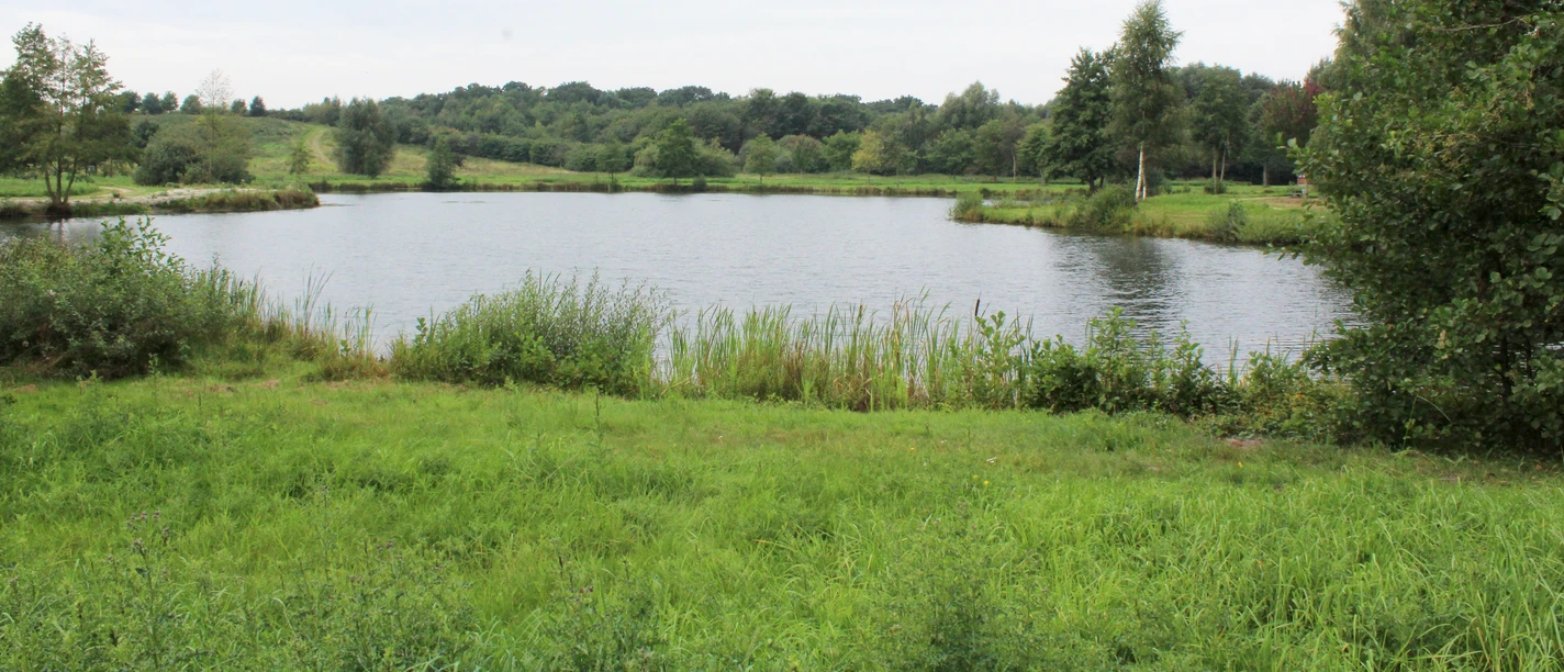 Landschaftssee Uchte Ein ruhiger See umgeben von Wiesen und Bäumen, das Ufer gesäumt von Schilf und grasigen Flächen.