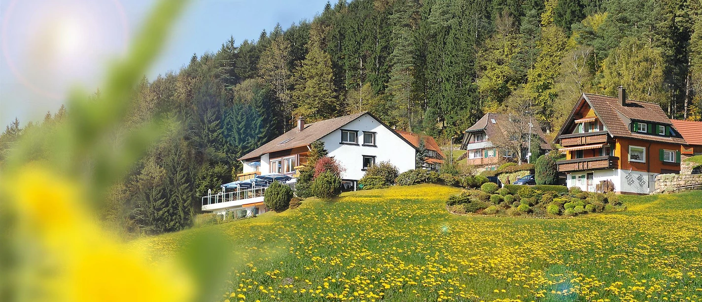 Außenansicht - Café-Pension Hagkopf