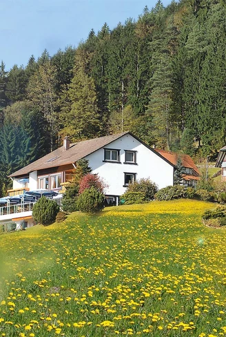 Außenansicht - Café-Pension Hagkopf