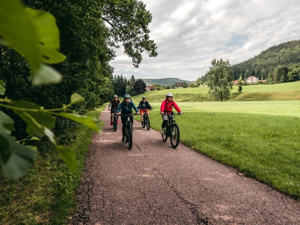 Geführte MTB-Tour Gruppen