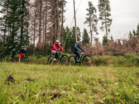 Geführte MTB-Tour ganztags Gruppen