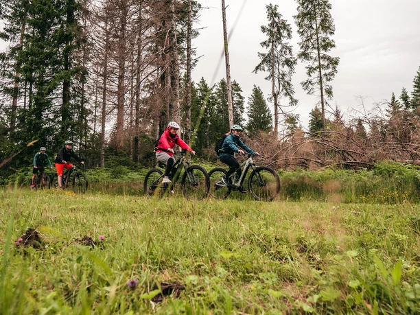 Geführte MTB-Tour ganztags Gruppen
