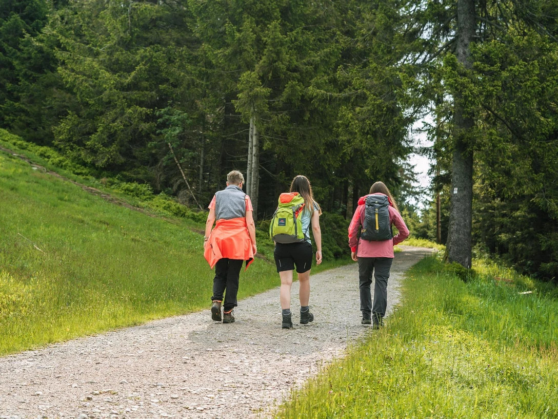 Geführte Wanderung