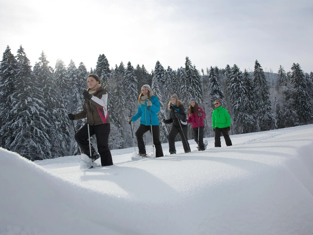 Geführte Schneeschuhtour