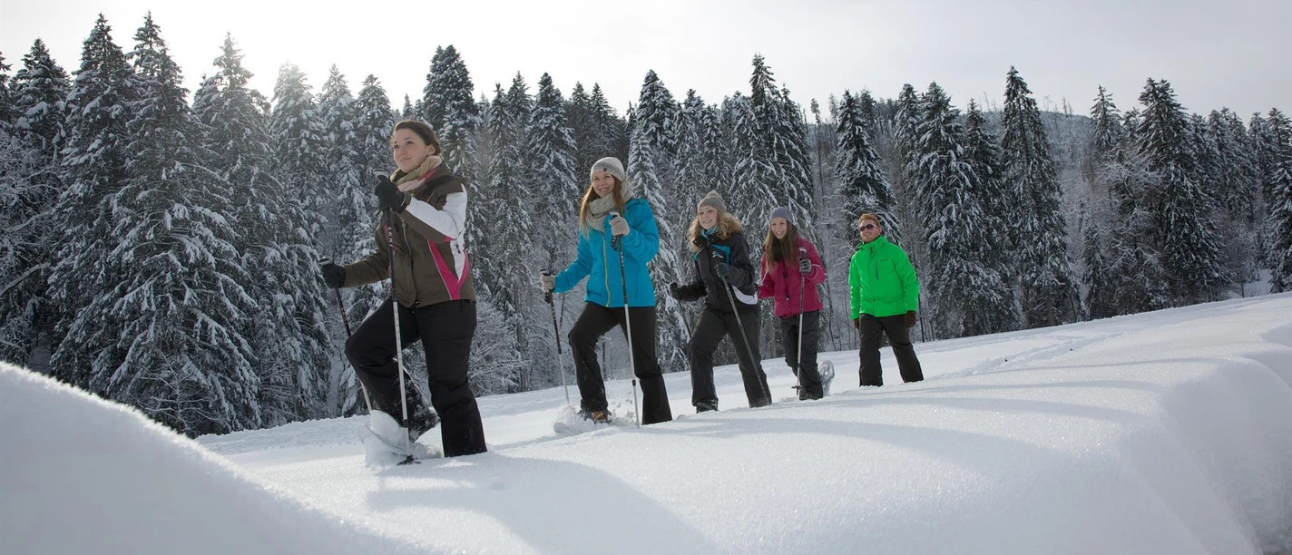Geführte Schneeschuhtour