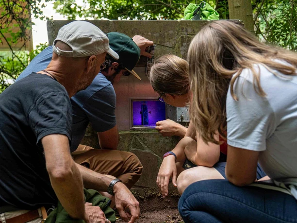 Outdoor Escape Game „Sielmann 1948“ Duderstadt Outdoor Escape Game „Sielmann 1948“ Duderstadt