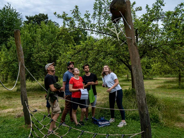 Outdoor Escape Game „Sielmann 1948“ Duderstadt