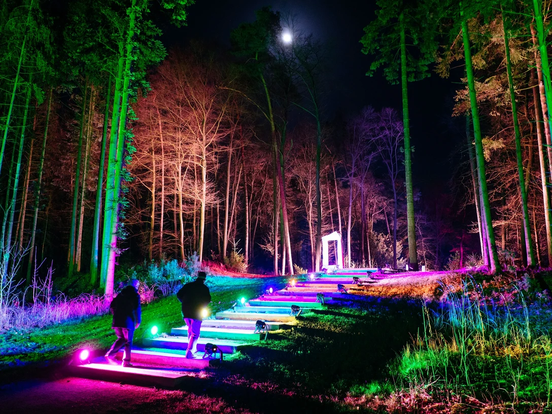 Fotos vom Waldleuchten 2019 Fotos vom Waldleuchten 2019