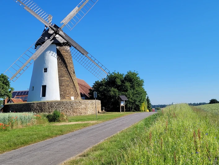 Windmühle Eickhorst Historische Windmühle Eickhorst vor blauem Himmel, umgeben von grünen Feldern und einem Weg.