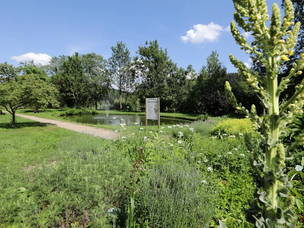 Grasellenbach - Kurpark Grasellenbach - Kurpark