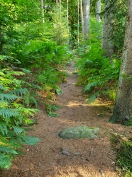 Fahnenwald.jpg
