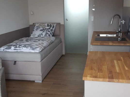 Appartmenthaus Altstadtblick (1).jpg