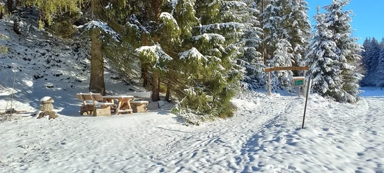Im Zinsbachtal an der Ameisenstraße