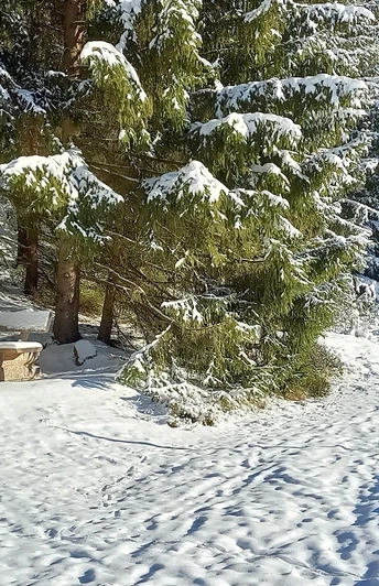 Im Zinsbachtal an der Ameisenstraße